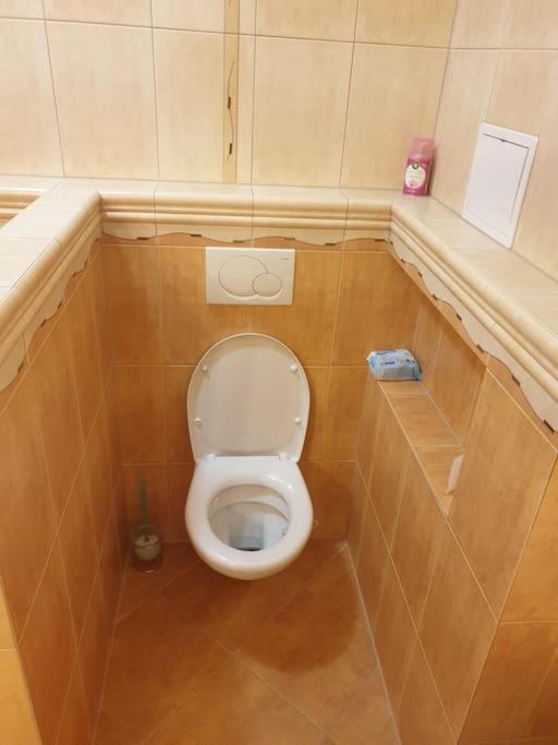 Mezonetovy Apartman V Centre Novej Dubnice Ilava Exterior photo